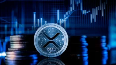 unlocking-insights:-how-to-seamlessly-check-latest-xrp-price-predictions