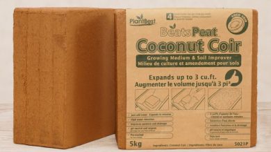 why-coco-peat-soil-works-well-for-indoor-and-outdoor-plants