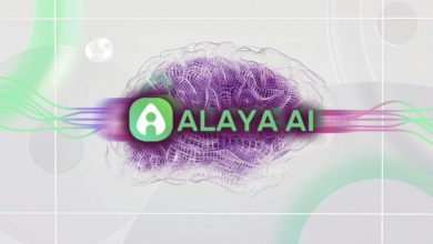 alaya-ai-revolutionizes-data-labeling-with-automated-solutions