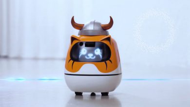 floki-and-rice-robotics-launch-ai-companion-robot-with-token-rewards