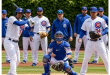the-psychology-of-team-colors-in-sports